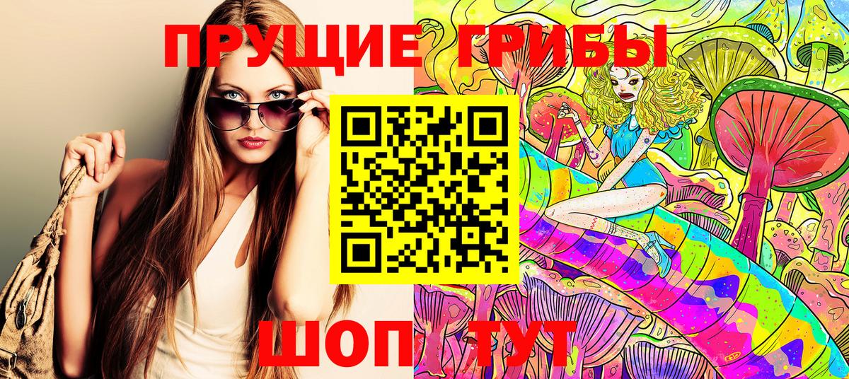 купить наркотик  Псилоцибиновые грибы мицелий  Вход с VPN  Псилоцибиновые грибы мицелий  Черняховск 